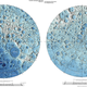 Illustration for article titled These Are Easily The Most Gorgeous Maps Of The Moon Ever